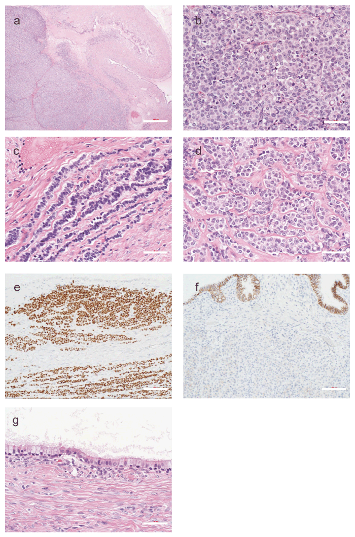 Fig.3